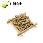 The best quality robusta green coffee bean from Vietnam