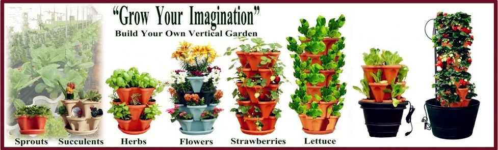 Website-Banner5-977x295_.jpg
