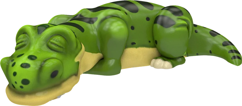 9044800_.png