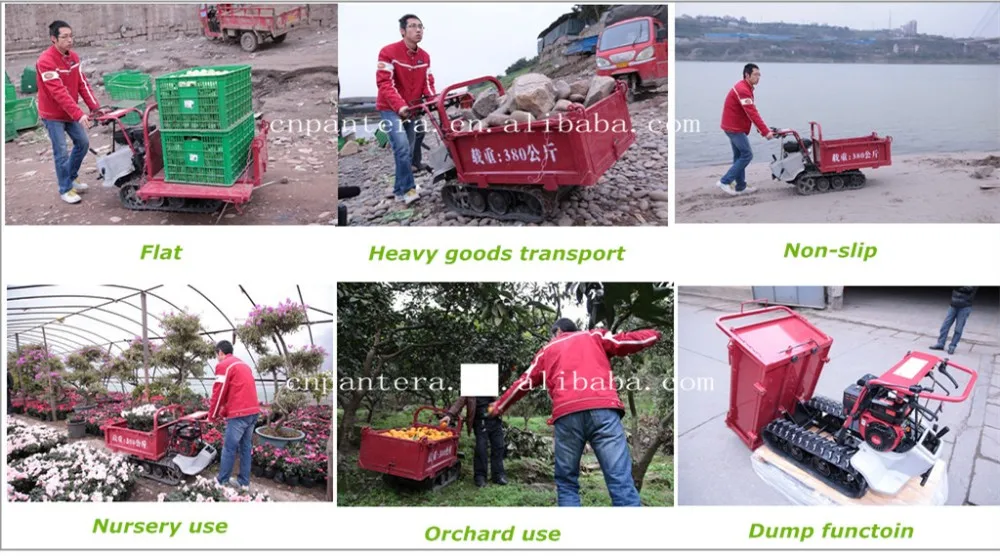 2016 New Style CE Popular Hot Cheap Garden Mini Dumper.jpg