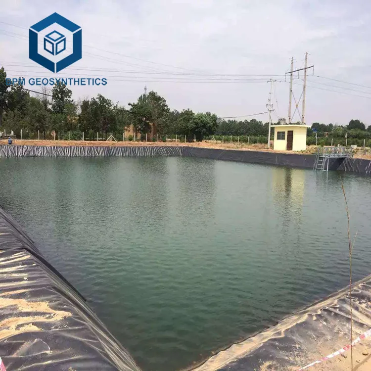 geomembrane plastic fish pond