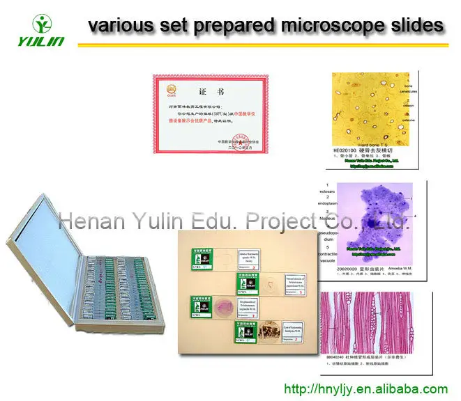 Various set prepared microscope slides