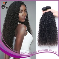 Brazilian Kinky Curly Remy Hair Weave