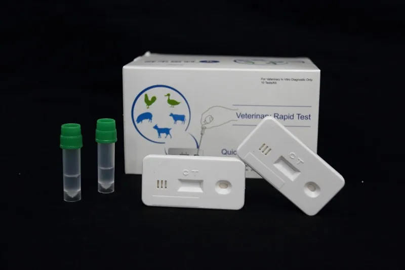 Avian Chlamydia psittaci Antigen Rapid Test, View Chlamydia psittaci