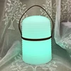 Hot selling portable led decorative lamp with remote control