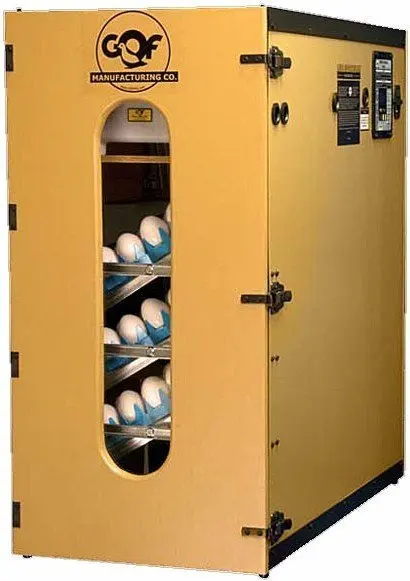 wooden egg incubator for sale