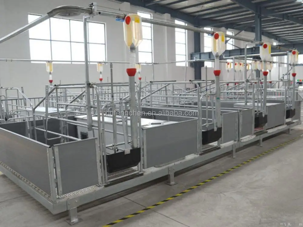 pig_farrowing_pen_pig_farm_equipment.jpg