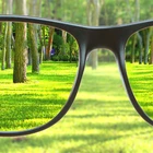 Wholesale Prescription 1.56 Progressive Eyeglass Lenses Optical Eye Lens
