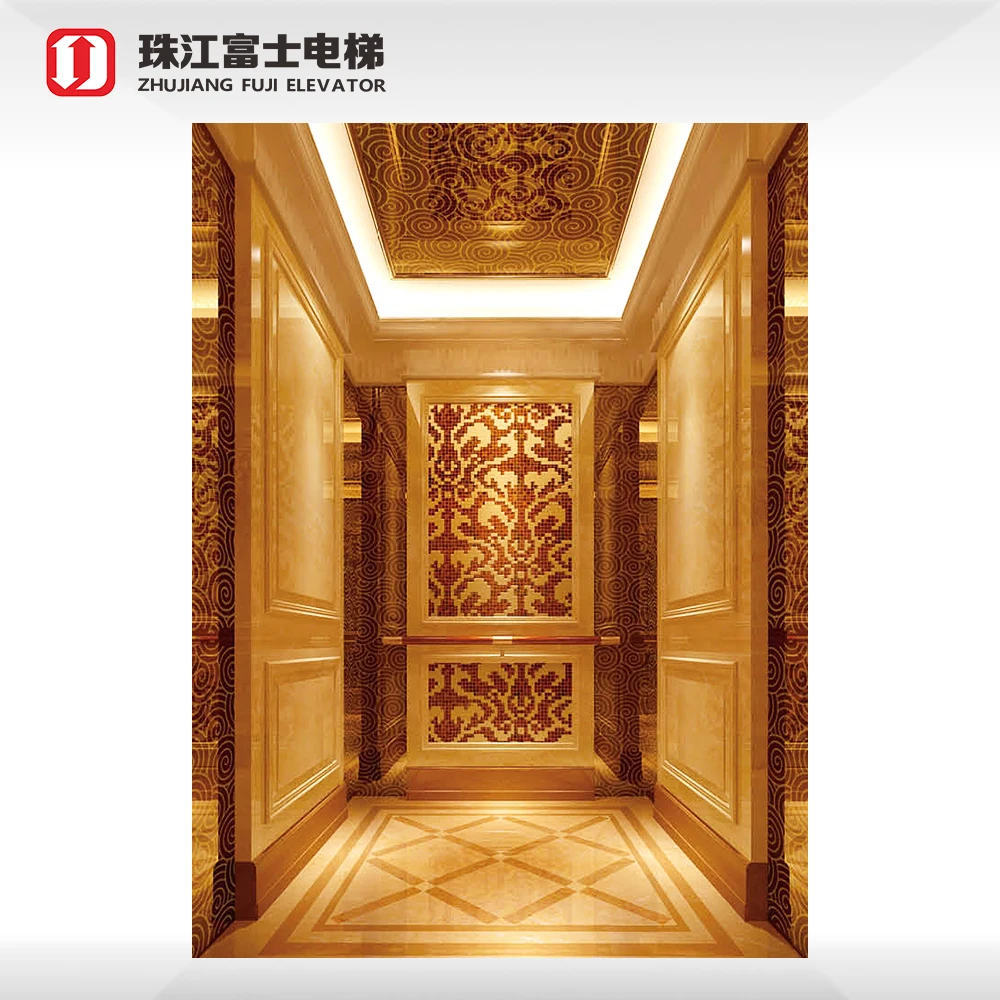 ZhuJiangFuJi 4 6 8 Person Elevator Lift Passenger Painted Steel Passenger Elevator