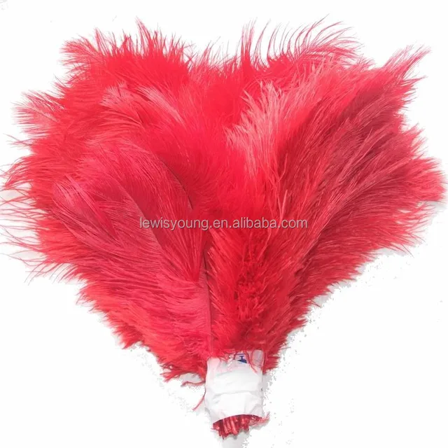 feathers for vases museum gift lady amherst zebra best selling