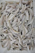 Так выглядит рыба хек - Самый сок! - ЖЖ