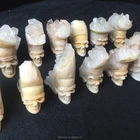 Wholesale For Wholesale Natural Quartz Hand Carved Crystal Skull With White Cluster Hair For Sale