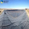 resistant chemical geomembrane plastic linear lobster pond liner hdpe