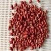 We are supply peanuts , red skin peanut kernel with best price