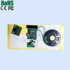 Light sensor motion sensor programmable usb sound module