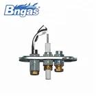 B880224 pilot assembly gas burner igniter