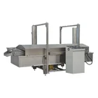 industrial electric fryer / industrial gas deep fryer