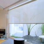 Free sample window roller blinds best price wifi automatic spring manual