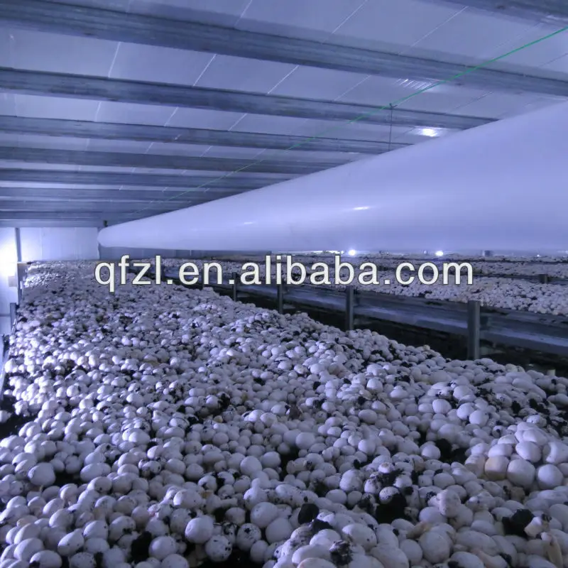 غرفة باردة لزراعة الفطر Buy Cold Room For Mushroom Growing,Cold Room