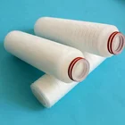 Sterilizing grade 0.22 um nylon filter cartridge for bacteria removal