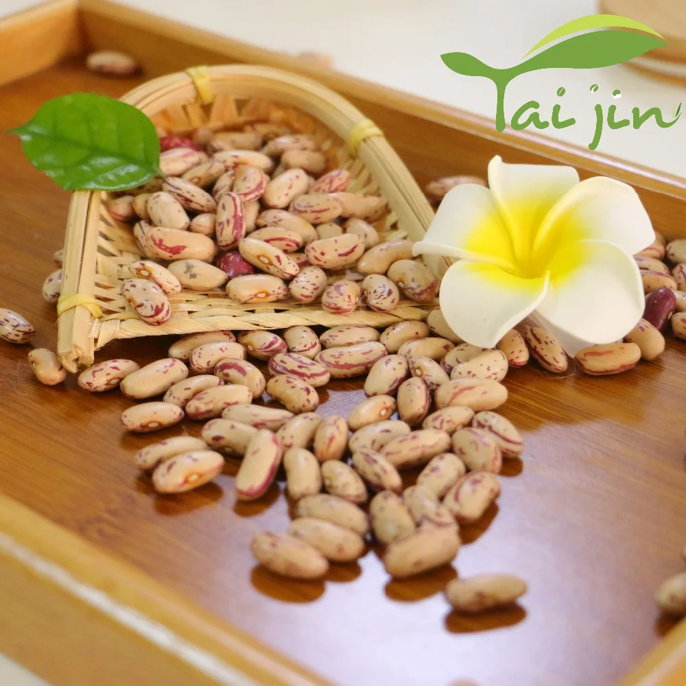 Hot Sale Organic Light Speckled Kidney Beans LSKB