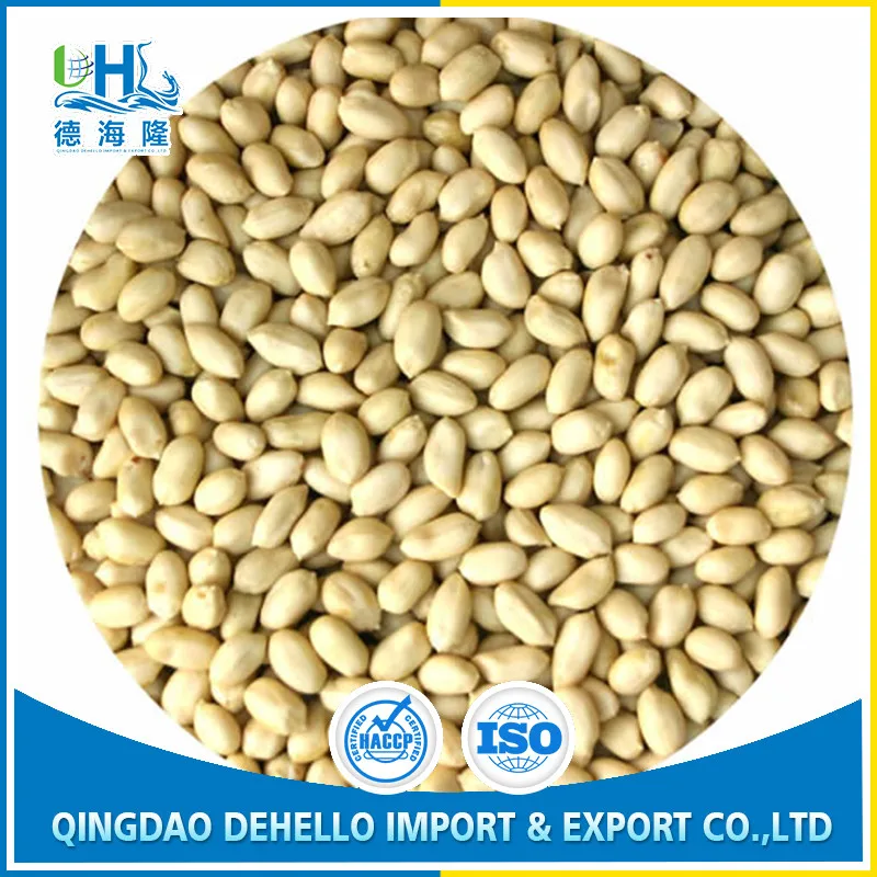 blanched peanut 0041