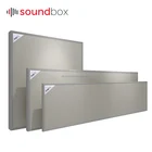 Ceiling Fireproof Sound Absorbing Insulation Panel For Gymnasiums, Multi-Functional Hall