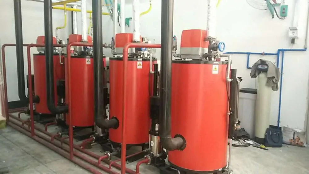 100kg gas steam boiler (4)