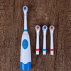 Wholesale new product USB rechargeable adult electric toothbrush