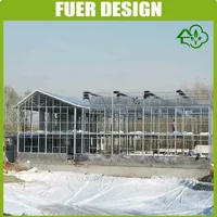 Factory Price Single Span Multi Span