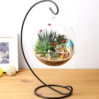 DIY Hydroponic Plant Flower Hanging Glass