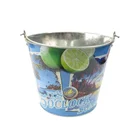 Custom Printing Galvanized Metal Ice Bucket with Handle for Beer