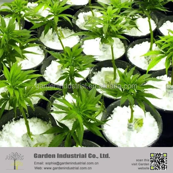 Indoor Garden Growing Media Perlite