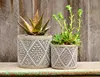 Set of Two Hexagon Cement Planters perfect for a Cactus or Succulent Plants // Concrete Plant Pot - Handmade