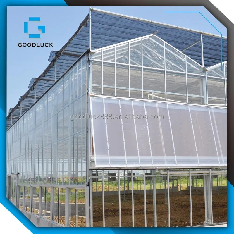 Good Quality Multi Span Agricultural Glass