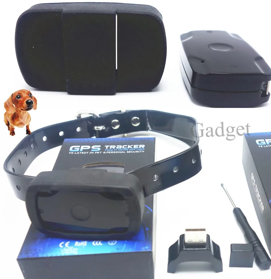 Mini Gps Cat Tracking Collars Gps Animal Tracking System ...
