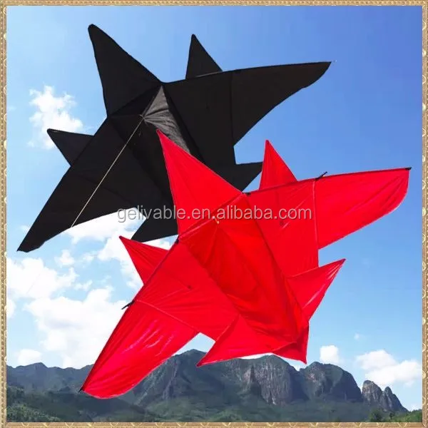 airplane kite .jpg
