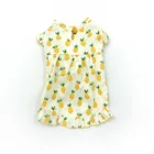 2019 wholesale factory direct sale pineapple yellow cute cat dog skirt custom print fruit summer dress pet clothes
