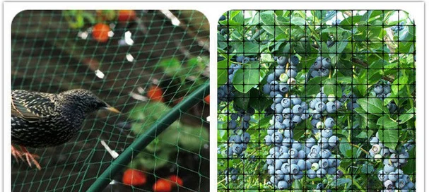 PP anti-bird net(professional factory,reasonable price with high quality)