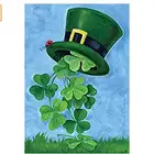 Toland Home Garden Shamrock Shower 12.5 x 18 Inch Decorative St Patrick's Day Clover Leprechaun Top Hat Garden Flag