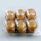 plastic packing blister fruit tray kiwi packaging tray with compartments