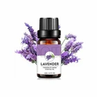 Free ship Reasonable lavender oil price bulk lavender essential oil