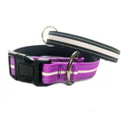 China Factory Sale Custom Colors Adjustable Nylon Dog Pet Collar,Custom Dog Collar