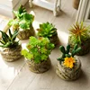 /product-detail/wholesale-artificial-succulent-plant-pot-resin-flower-pot-green-plant-artificial-flower-60685243372.html