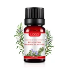 High quality OEM factory 100%Pure Aroma Natural Essential Oil for Skin care Aromatherapy Massage Essential Oil