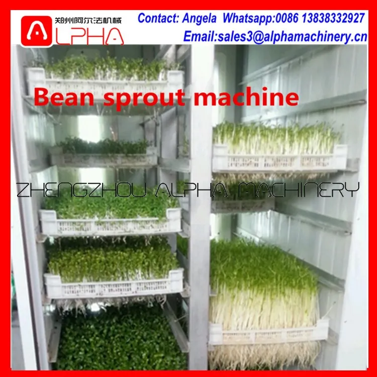 best price mung bean sprout making machine/ bean