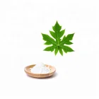 Hot Selling papaya leaf extract powder