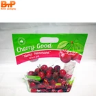 Bag Fruit Bag Resealable Plastic Bag For Orange/cherry/grape/fruit Packaging With Handle