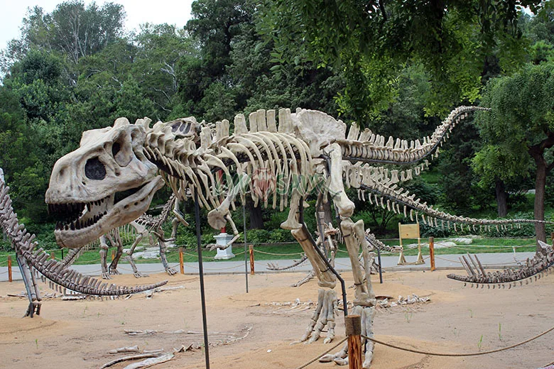 byys-armour-covered-jurassic-dino-park-life-size-dinosaur-skeleton