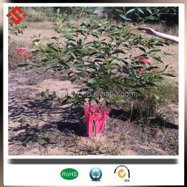 hardwood stakes corflute tree guards